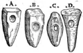 S. 64v