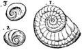 S. 164r, Abb. 1