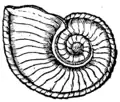 S. 164r, Abb. 2