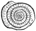 S. 167v, Abb. 2