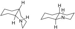 Strukturen von cis- (links) und trans-Decahydrochinolin (rechts)