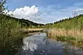 Am südlichen Ende