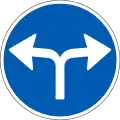 D11.8: Vorgeschriebene Fahrtrichtung – links und rechts