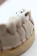 Bild 7 (Schärfepunkt ganz hinten)
