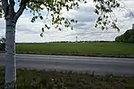 Blick nach Süden vom Ortsausgang Birkenhöhe auf den Funkturm in Birkholzaue (Bernau bei Berlin)