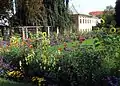 Hofgarten im Sommer