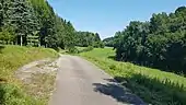 Der Schüpfbachtalradweg zwischen Kupprichhausen und dem Heckfelder See