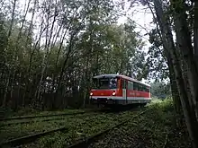 Der Teichland-Express auf der Fahrt nach Lichterfeld, im Vordergrund die Strecke nach Sallgast (September 2017)