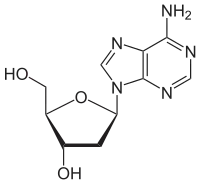 Strukturformel von Desoxyadenosin