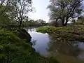 Mündung in die Mulde
