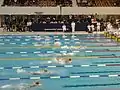 Schmetterlingschwimmen
