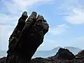 Devil’s Fist