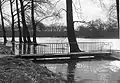 … Rehwiesen am 17.&nbsp;Februar&nbsp;1962