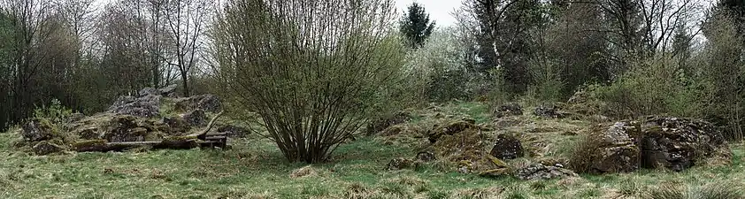 Naturdenkmal Dicker Stein