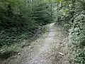 Dickibach im Tätschtobel