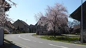 Dickihof