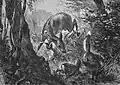 Rehe und Fuchs aus: Die Gartenlaube (1869)