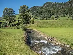 … bei Büchel, oberhalb Unterwasser