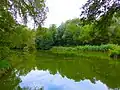 Diefflen, Weiher in der Auenzone