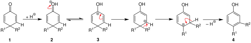 Dienon-Phenol-Umlagerung Mechanismus