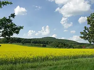 Dietrichsberg bei Wölferbütt
