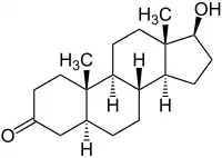 Struktur von Dihydrotestosteron
