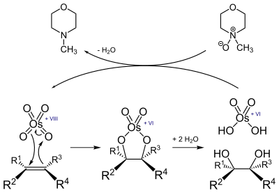 Reaktion eines Alkens mit Osmiumtetroxid