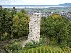 Burgruine Grimmenstein (Luftaufnahme: Blickrichtung Norden)