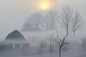Typischer Nebel über den Sumpfflächen