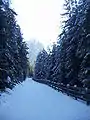 Loipe bei Toblach, Blick in die Gegenrichtung