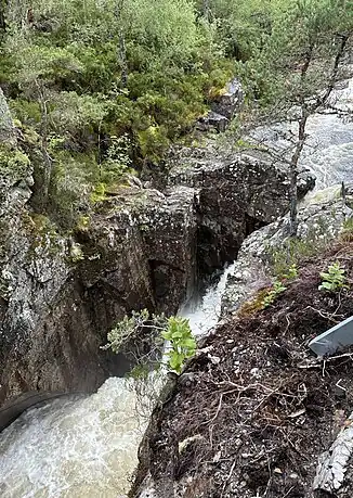 Dog Falls