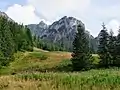 Kościelisko-Tal