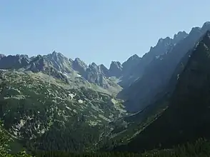 Blick ins Tal vom Hang des Bergs Patria
