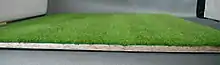 'Rasen eines Puppenhauses mit 2 mm Grasstreu