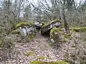 Dolmen Fumade Larroque