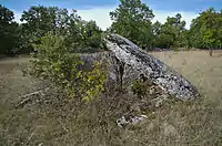 Dolmen 2 von Dirau (Sanguinades)