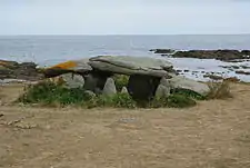 Dolmen de la Planche à Puare