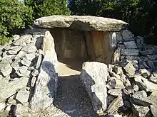 Dolmen du Vieil Homme