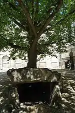 Allée couverte des Grèves de Fraicul