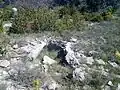 Dolmen du mas de Vedel