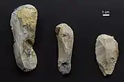 Verschiedene Kratzer von den Fundplätzen Pavlov I und Dolní Věstonice II