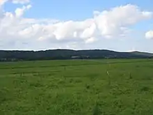 Pferdekoppeln des Gestüts Auenquelle. Blick auf Donoer Berg.