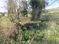 Court Tomb von Doon