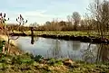 Das Doornhammeke