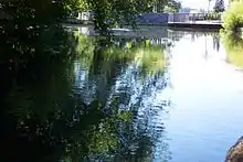 Dorfweiher in Ermengerst