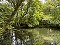 Dornbach (Gelpe)-Quellteich in Friedrichshöhe