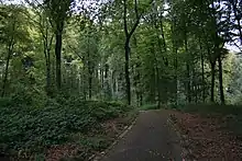 Einer der befestigten Wege im Volksgarten Lütgendortmund