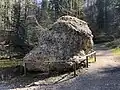 talaufwärts
