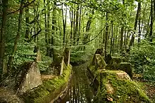 Höckerlinie des Orscholzriegels an der Ziegelei zwischen Orscholz und Oberleuken.