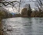 Dreikantonseck in der Reuss (Kantone Aargau, Luzern und Zug)
